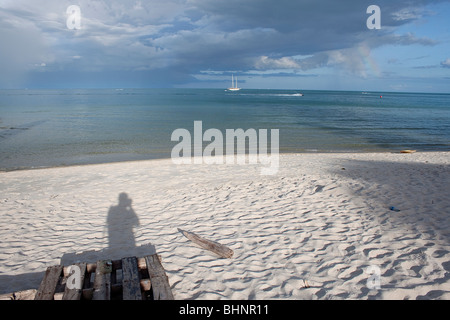 La spiaggia di Chaweng Koh Samui Thailandia Foto Stock