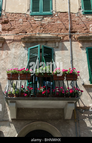 Villaggio di Palaia in provincia di Pisa, Toscana, Italia Foto Stock