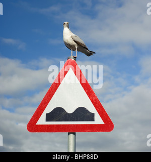 Seagull permanente sulla strada triangolare gobbe cartello segnaletico, REGNO UNITO Foto Stock