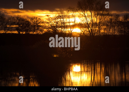 Tramonto sulla parete di prosciutto riserva RSPB Somerset UK Winter Foto Stock