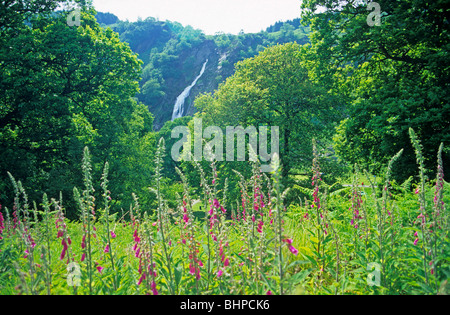 Al Powerscourt Waterfall, Co. Wicklow, Repubblica di Irlanda Foto Stock