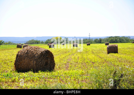 Ranch in Texas di alta pianura Foto Stock