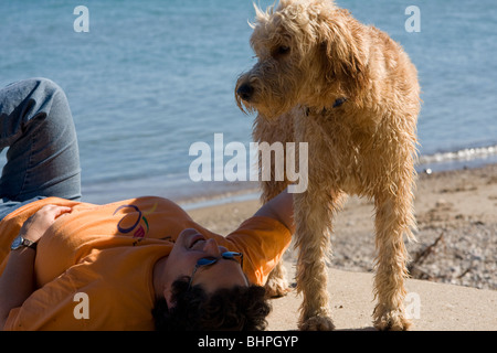 Un goldendoodle è ipoallergenico e rende grande un pet. Foto Stock