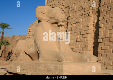 Ram-guidato sphinx presso l'entrata principale del tempio di Karnak a Luxor, Egitto Foto Stock