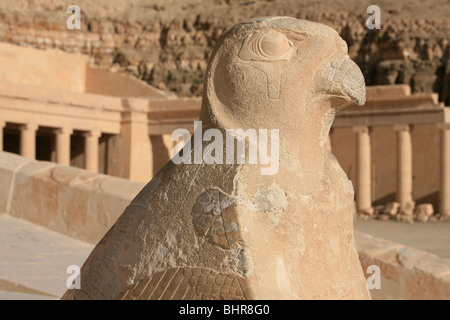 Statua di Horus presso il Tempio mortuario di Hatshepsut a Deir el-Bahri vicino a Luxor, Egitto Foto Stock