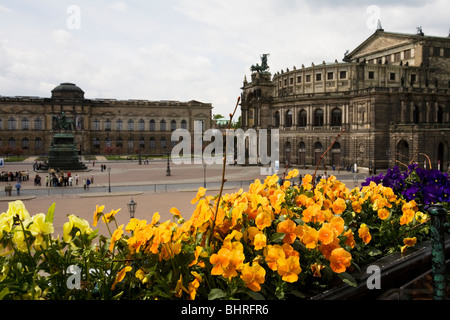 Fiori nella parte anteriore del Terrassenufer. La Semper Opera House Sächsische Staatsoper e Schauspielshaus Dresda, Germania Foto Stock