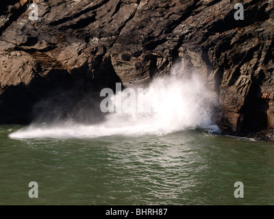 Blowhole, Boscastle harbour ingresso, Cornwall Foto Stock