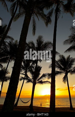 Palm Cove North Queensland Australia Foto Stock