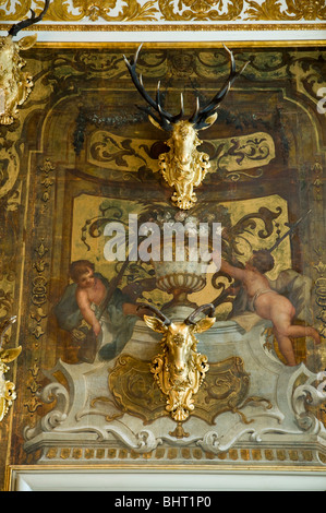 Castello di Moritzburg, interno, Monstroesensaal con carta da parati in pelle e testa di cervo, Dresda, Germania Foto Stock