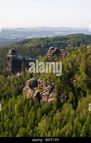 Vista da Papststein su legno e rocce, Svizzera Sassone, Bassa Sassonia, Germania Foto Stock