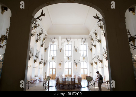 Schloss Moritzburg, innen Speisesaal, Dresda, Sassonia, Deutschland | Castello di Moritzburg, interno, sala da pranzo, Dresda, Germania Foto Stock