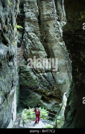 In Svezia i fori, percorso attraverso le rocce, Svizzera Sassone, Bassa Sassonia, Germania Foto Stock