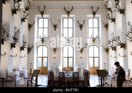 Schloss Moritzburg, innen Speisesaal, Dresda, Sassonia, Deutschland | Castello di Moritzburg, interno, sala da pranzo, Dresda, Germania Foto Stock