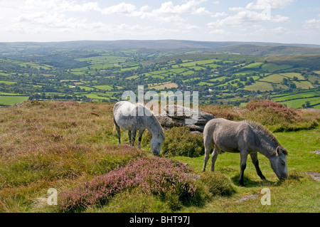 Dartmoor sopra scena Widecombe in Moro Foto Stock