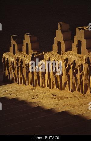 Vista al tramonto della scultura di sfiato del soggetto popoli dell'Impero Achaemenian salire le scale, Persepolis, Iran Foto Stock