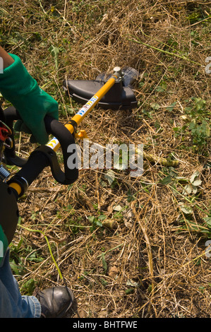 Decespugliatore essendo utilizzato per tagliare erbe infestanti su un riparto grafico Foto Stock