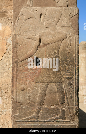 Rilievo di parete di un uomo con un papiro stelo al Tempio di Luxor a Luxor, Egitto Foto Stock