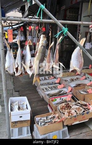 Ritratto di pesce appeso sopra le scatole di pesce nella parte anteriore di un pesce essiccati shop, vicino a Queen's Road West, Hong Kong, Cina Foto Stock