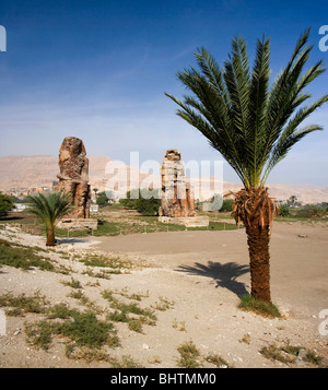 Colosso di Memnon statue sulla riva occidentale di Luxor in Egitto. Foto Stock