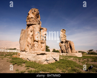 Colosso di Memnon statue sulla riva occidentale di Luxor in Egitto. Foto Stock