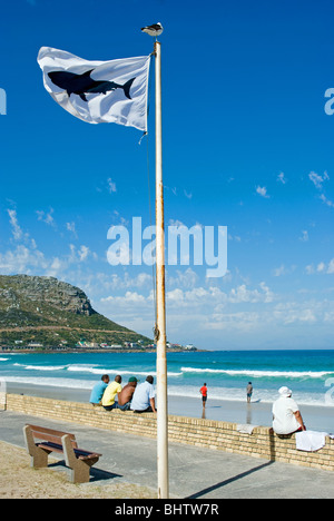 Un avvertimento di squalo bandiera sventola su False Bay beach, Fishhoek, Cape Town, Sud Africa. Foto Stock