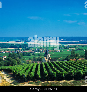 Vigneti con Ville-Dommange Sacy e frazioni di distanza, Montagne de Reims, Marne, Champagne Grand Est, Francia, Europa Foto Stock