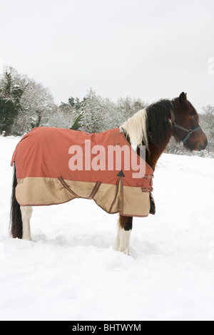 Cavallo in coperta di neve in coperta Foto Stock