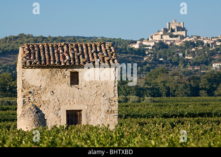 Vigneti e cabanon, Comtat Venaissan, Le Barroux, Vaucluse Provence, Francia Foto Stock