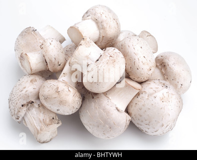 Manciata di champignon su sfondo bianco Foto Stock