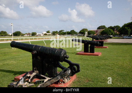 Vista di canon su Garrison Savannah in Barbados Foto Stock