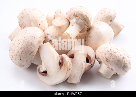 Manciata di champignon su sfondo bianco Foto Stock