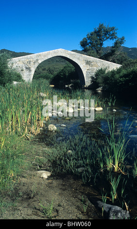 Ponte humpback o ponte genovese (c 12b), Spin'a Cavallu o Cavaddu, sul fiume ruscello o Rizzanèze, vicino Sartène, Corsica, Francia Foto Stock