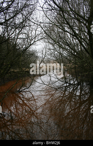 Inverno alberi riflessa in un Arricchito con ferro stagno sul Flash Pennington CP, REGNO UNITO Foto Stock