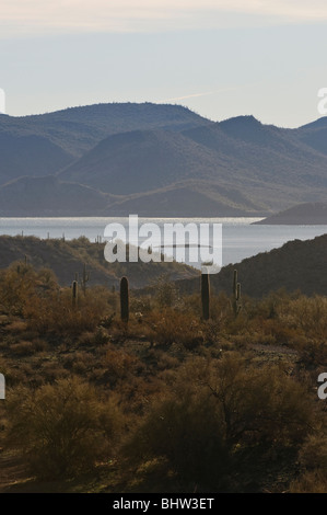 Mattina al Lago Pleasant, un parco regionale a nord di Phoenix, Arizona Foto Stock