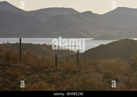 Mattina al Lago Pleasant, un parco regionale a nord di Phoenix, Arizona Foto Stock