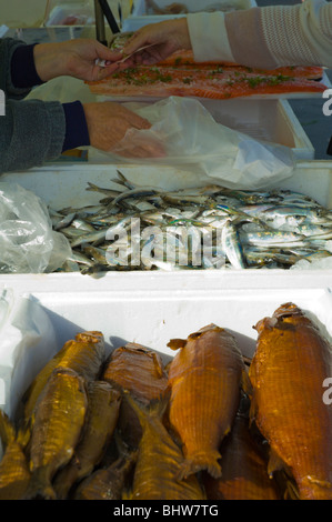 Pressione di stallo di pesce presso la piazza del mercato Kankaanpää Finlandia occidentale nord europa Foto Stock