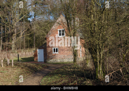 Toad Foro Cottage a come Hill in Norfolk è la casa Vittoriana di un marshman, Broads National Park Foto Stock