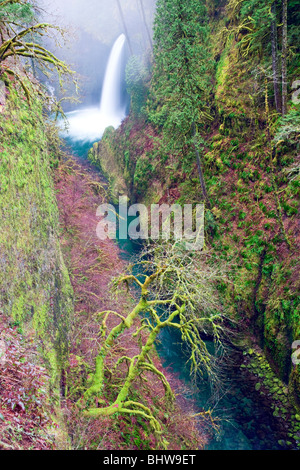 Metlako scende con la nebbia in inverno. Columbia River Gorge National Scenic Area, Oregon Foto Stock