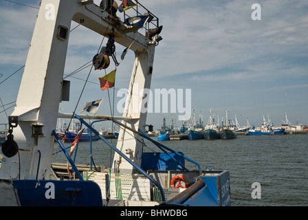 Barche da pesca al porto di Władysławowo, Pomorskie, Polonia Foto Stock