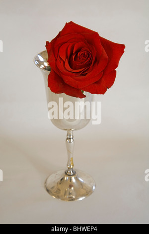 Un rosso con gambo lungo rose in un calice d'argento. Foto Stock