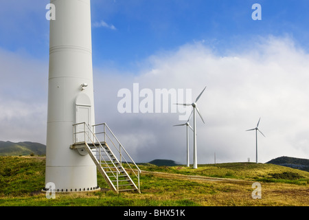 Il vento porta della torre di una fattoria eolica in Pico island, Azzorre Foto Stock