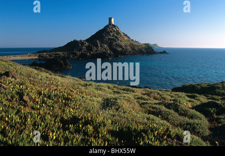 Punto di parata o capezzagna, Pointe de la Parata, con la torre genovese,e Îles Isole Sanguinarie, vicino a Ajaccio, Corsica, Francia Foto Stock