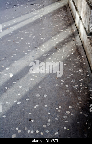 La gomma da masticare che sputò fuori sul marciapiede, London, England, Regno Unito, Europa Foto Stock