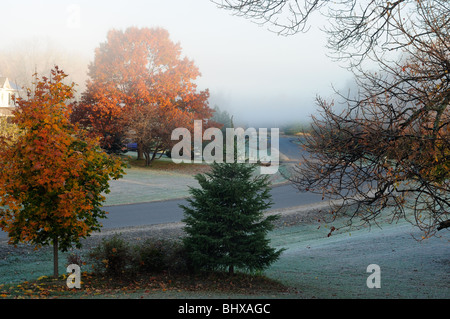 Sunrise su un gelido autunno mattina Foto Stock