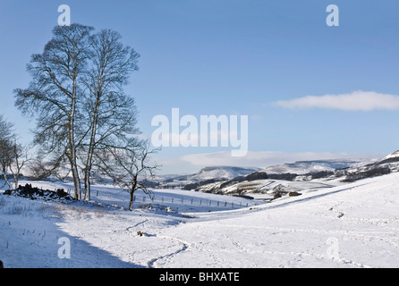 Inverno in Alta Wensleydale vicino Hawes Foto Stock