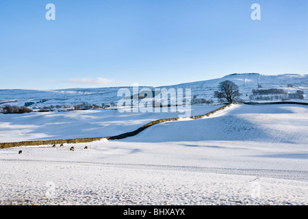 Inverno in Alta Wensleydale vicino Hawes Foto Stock