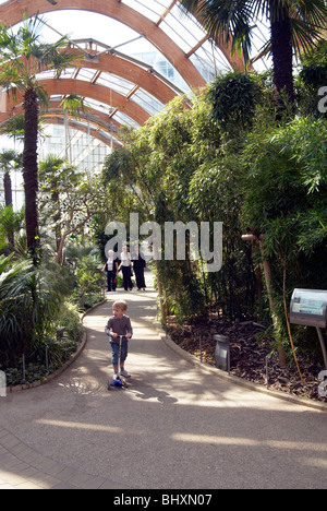 Millenium gardens sheffield Foto Stock