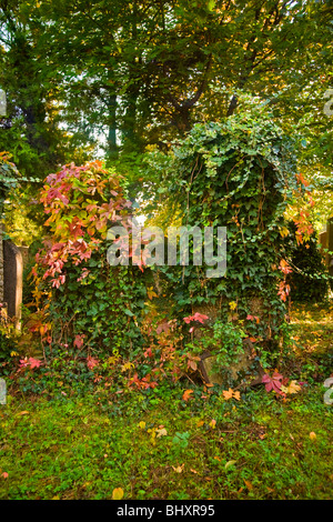 Autunno presso il cimitero centrale di Vienna, Austria, Euope Foto Stock