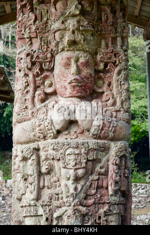 Stela C, Main Plaza con stele, Copan Ruinas, Honduras Foto Stock