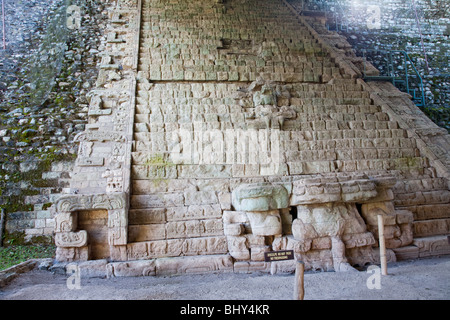 Escalinata Jeroglifica, scala geroglifica, Copan Ruinas, Honduras Foto Stock